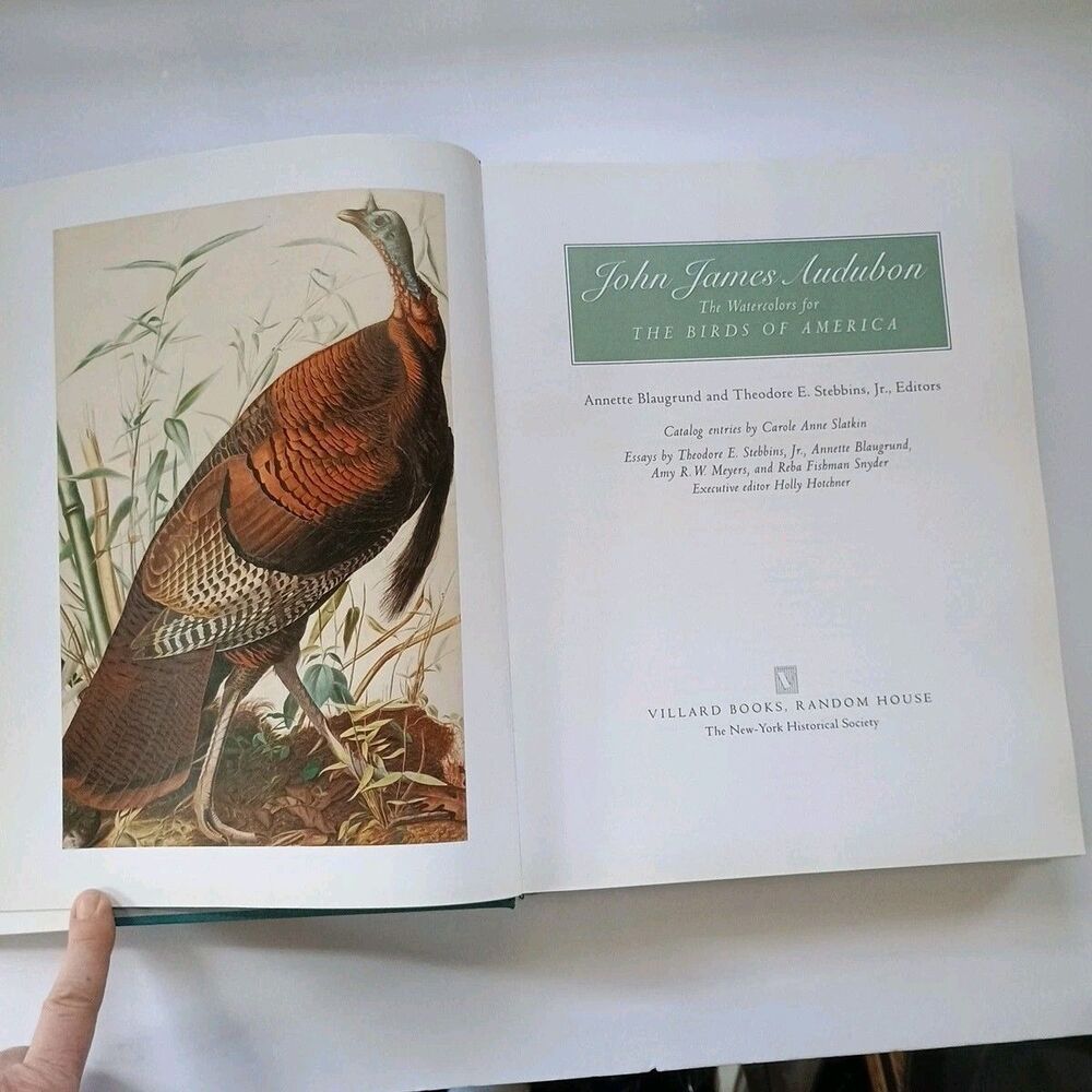 The Watercolors for the Birds of America- Audubon HC/DJ 1993 1 st Ed/2nd prtg - Picture 7 of 16